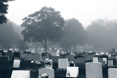 Cemetery - Black and White