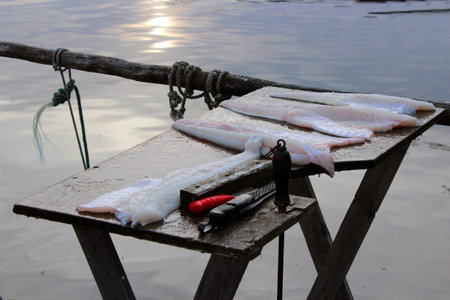 Fresh codfish fillets