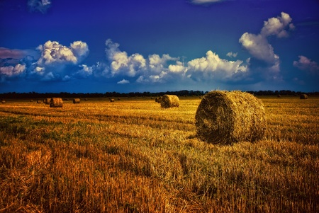 haystack in the fieldの写真素材