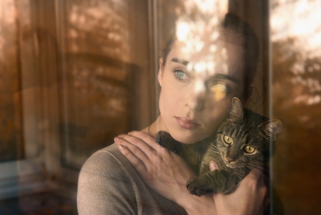 attractive girl holding a cat and sits by the windowの写真素材