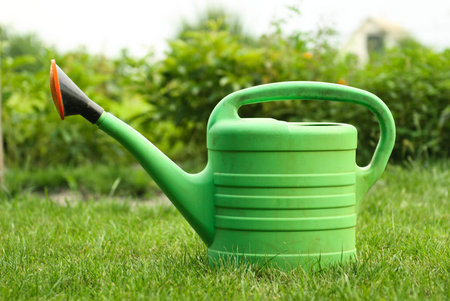 plastic watering can, a classic design on the green grass