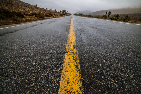 Empty wet desert asphalt pavement road with yellow highway marking lines.