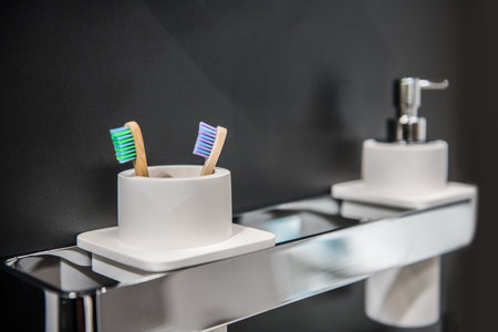 Toothbrush holder and liquid soap on holder on bathroom wall