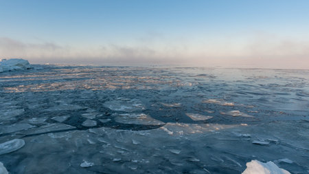 Frozen sea shore with icy fog and distant birds swimming among the ice blocks in Pori, Finland