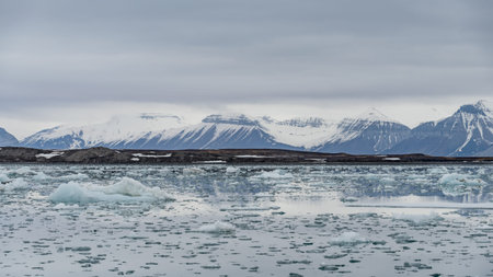 Ice blocks floating in an arctic fjord with mountains in the background in Svalbard