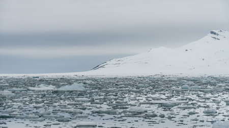 Ice blocks floating in an arctic fjord with mountains in the background in Svalbard