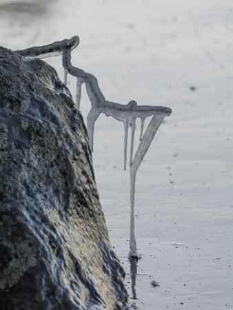 Ice formations on a branch on top of a rock by a frozen lake in Finlandの写真素材