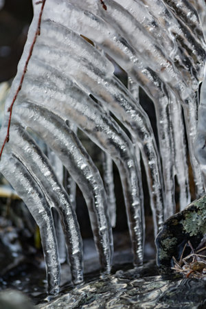 Ice formations on branches by a lakeshore in winter in Finlandの写真素材