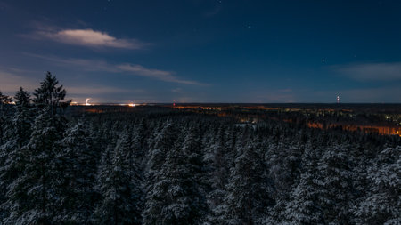Snowy forest with distant town lights in winter in Finlandの写真素材