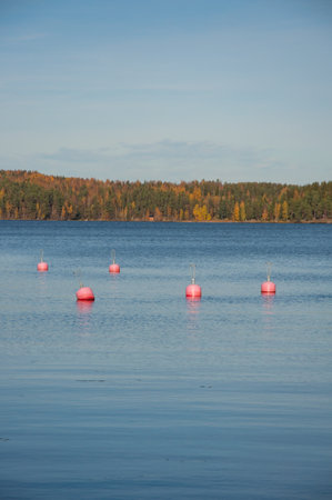 Buoys in the lake with autumn forests in the background in Finlandの写真素材