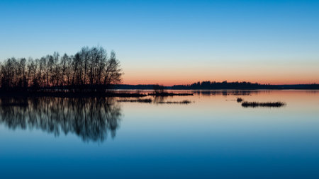 A line of trees on wetlands in a river delta in the blue evening light of early summer in Western...