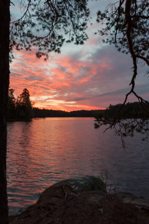 Early summer night by a lake in the forests of Finlandの写真素材