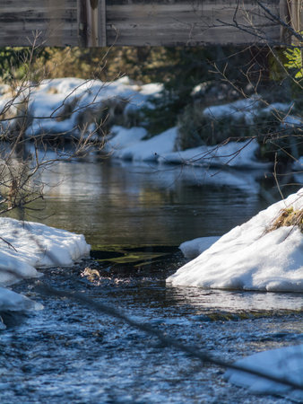 A small river flowing through melting snows in spring time in the forests of Finlandの写真素材