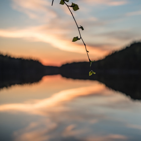 A branch of a tree with new leafs with a blurred lakeland sunset view in the backgroundの写真素材