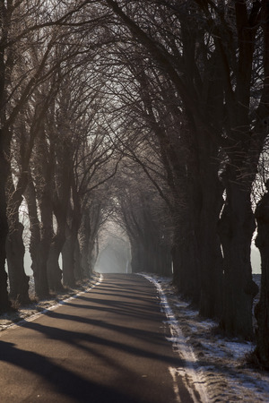 Alley on an Early Winter Morningの写真素材