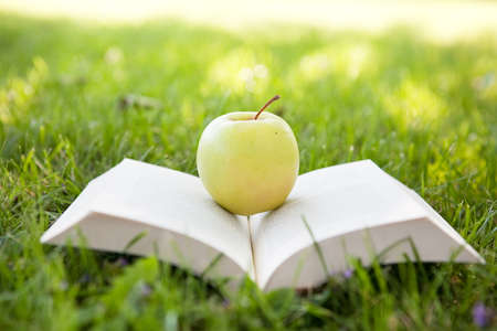 Open book on the grassの写真素材