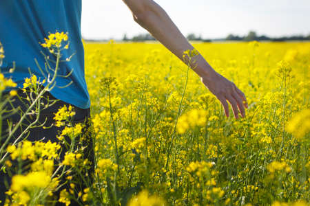 Man walking in rape fieldの写真素材
