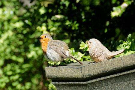 European robin (Erithacus rubecula) sitting on a stone in front of a robin figurine in Zurich, Switzerlandの写真素材