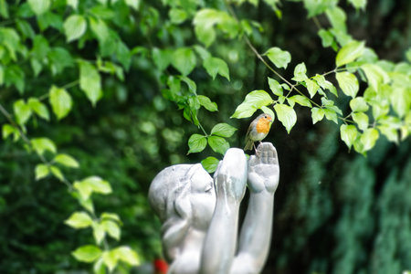European robin (Erithacus rubecula) sitting on the hand of a statue in Zurich, Switzerlandの写真素材