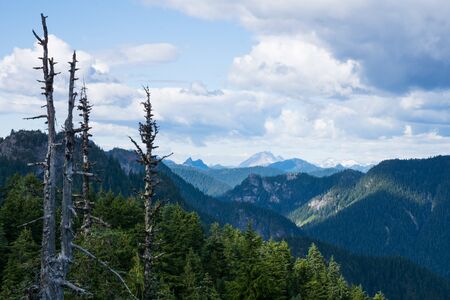 scenic panorama over the mountains of North Vancouver in summer, snow and burned trees, Canada, BCの写真素材