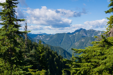 scenic panorama over the mountains of North Vancouver in summer, blue sky and green trees, Canada, BCの写真素材