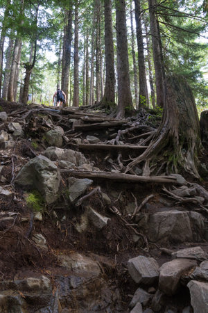 frog perspective view on grouse grind trail in north Vancouver, Canada