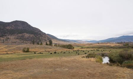panoramic valley and mountain near kamloops in Canada, road trip in fallの写真素材