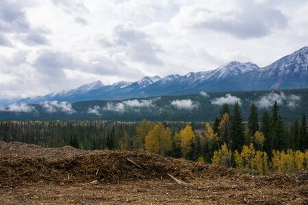 panorama mountain landscape, Canada road trip in fall, colorful foliageの写真素材