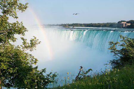Niagara falls horseshoe close from above with rainbow and trees in front , Canada summerの写真素材