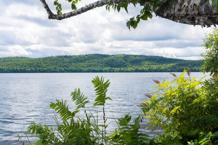 scenic view over the mountains and the lake through the fern and trees in the foreground, Canadaの写真素材