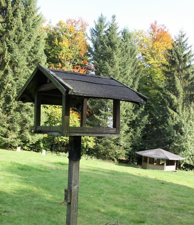 Birdhouse standing on grass from woodの写真素材