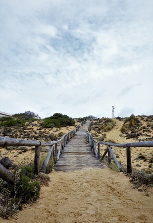 Wooden path to the beachの写真素材