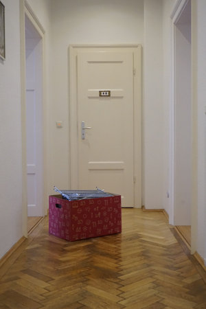 Moving in a new apartment with parquet toilet