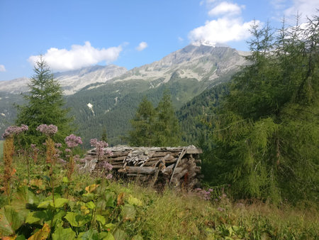 Hut in the mountains in Bavaria Austria Tyrol Germany diary farmのeditorial素材
