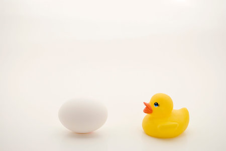 Duckling and egg talking.