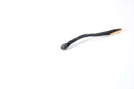 Feeling burned-out.Used matchstick photographed against a white background.の写真素材