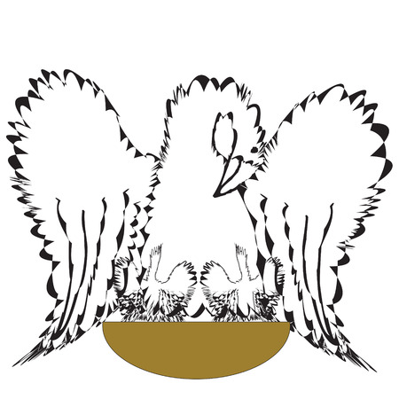 Vector illustration of a dove on a white background.のイラスト素材