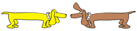 dachshunds