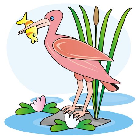 ibis and fish in the pond, color vector illustrationのイラスト素材
