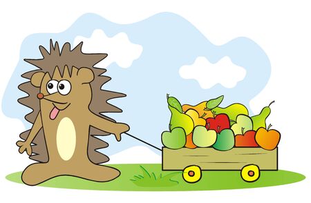 hedgehog and fruit, funny vector illustrationのイラスト素材