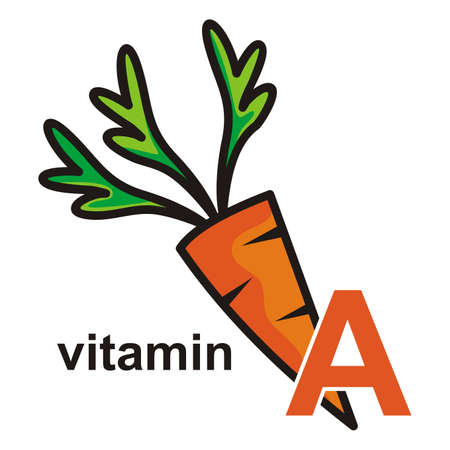 Carrot vegetables, vector cartoon on white background, text vitamin A.のイラスト素材