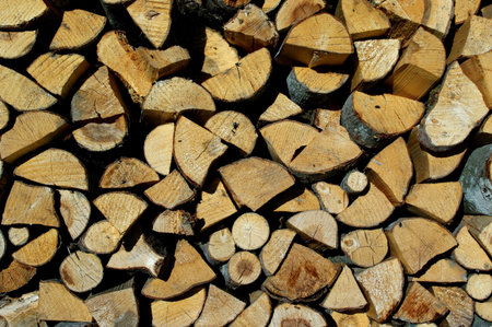 Stack of firewood.
