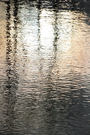	Reflections in water.の写真素材