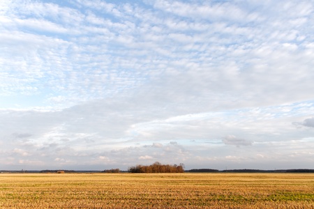 	Autumn field.の写真素材