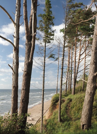 	Sea coast.の写真素材