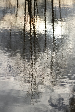 	Reflections in water.の写真素材