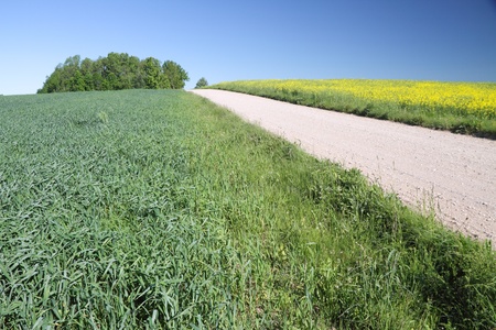 	Rural road.の写真素材