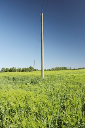 	Electricity line in field.の写真素材