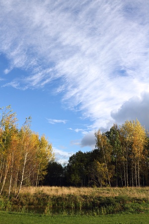	Autumn.の写真素材