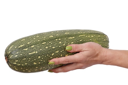 	Marrow type pumpkin.の写真素材